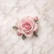 ハルの画像