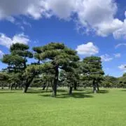 まるぽんの画像