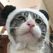 Miの画像