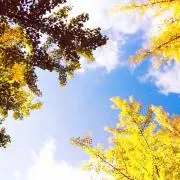 きのこ　＊プロフ必読＊の画像