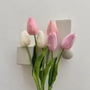 argt ((グッズ整理中))