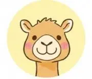 らくだモール★フォロー割はじめました。の画像