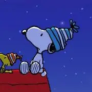 こむ(ᵔᴥᵔ)の画像