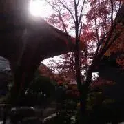 みずcot★