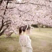 しゃこの画像