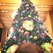 ぺよんこ