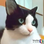 虎太郎のママ✿⁠の画像