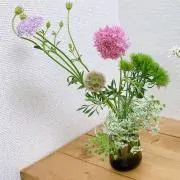 kaka＊の画像