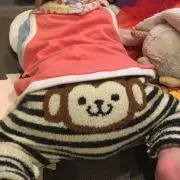 hanataroooの画像