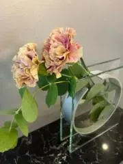 ありがとうの画像