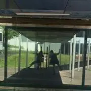 みやこの画像