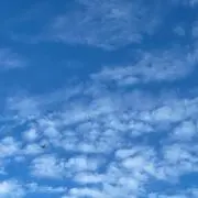 y'sの画像