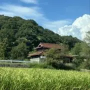 あぐろ　即発送‼︎の画像