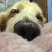 おその★