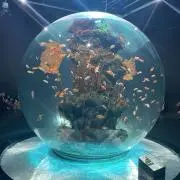 ねこねこの画像