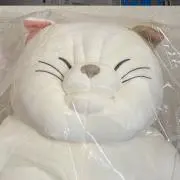 kenkenの画像