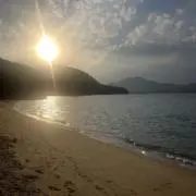 ごうの画像