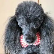 ひん♡プロフ読んで下さいね(^_^*)