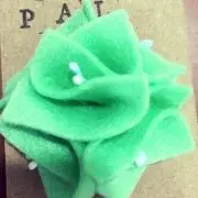 Palの画像