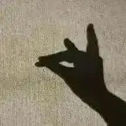 Sntcの画像