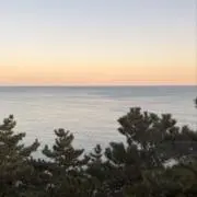 kanaの画像