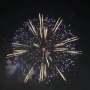 れなの画像