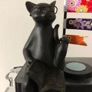 たんたんの画像