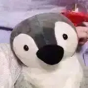はなの画像