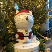 megmojpの画像