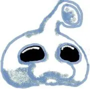 うぉず