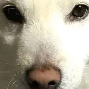 ざんどろの画像