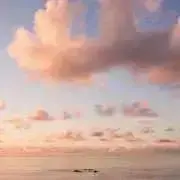 walkの画像