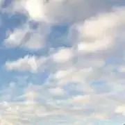 hanaの画像