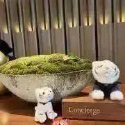 ナッツ♪の画像