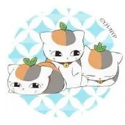 みいちゃんの画像