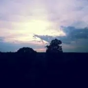 tamonの画像