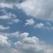 イニ
