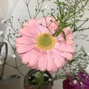 じゅりs shopの画像