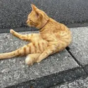 あ