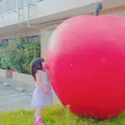 midoriの画像