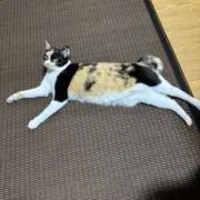 ちかこ⭐︎の画像