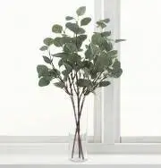 ポン太の画像