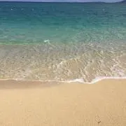 NORIの画像