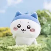 ちゃきの画像