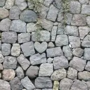 のの