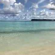 Yuidonの画像