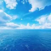 UMIMARU/プロフお読みくださいの画像