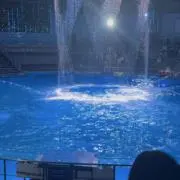 ふらふぃー