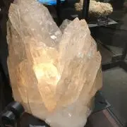 RIKOの画像