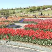 Mike♩の画像